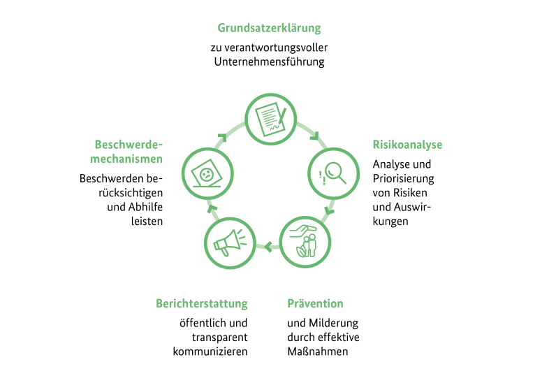 Grafik zum Kreislauf beim Grünen Knopf: Grundsatzerklärung, Risikoanalyse, Prävention, Berichterstattung, Beschwerdemechanismen